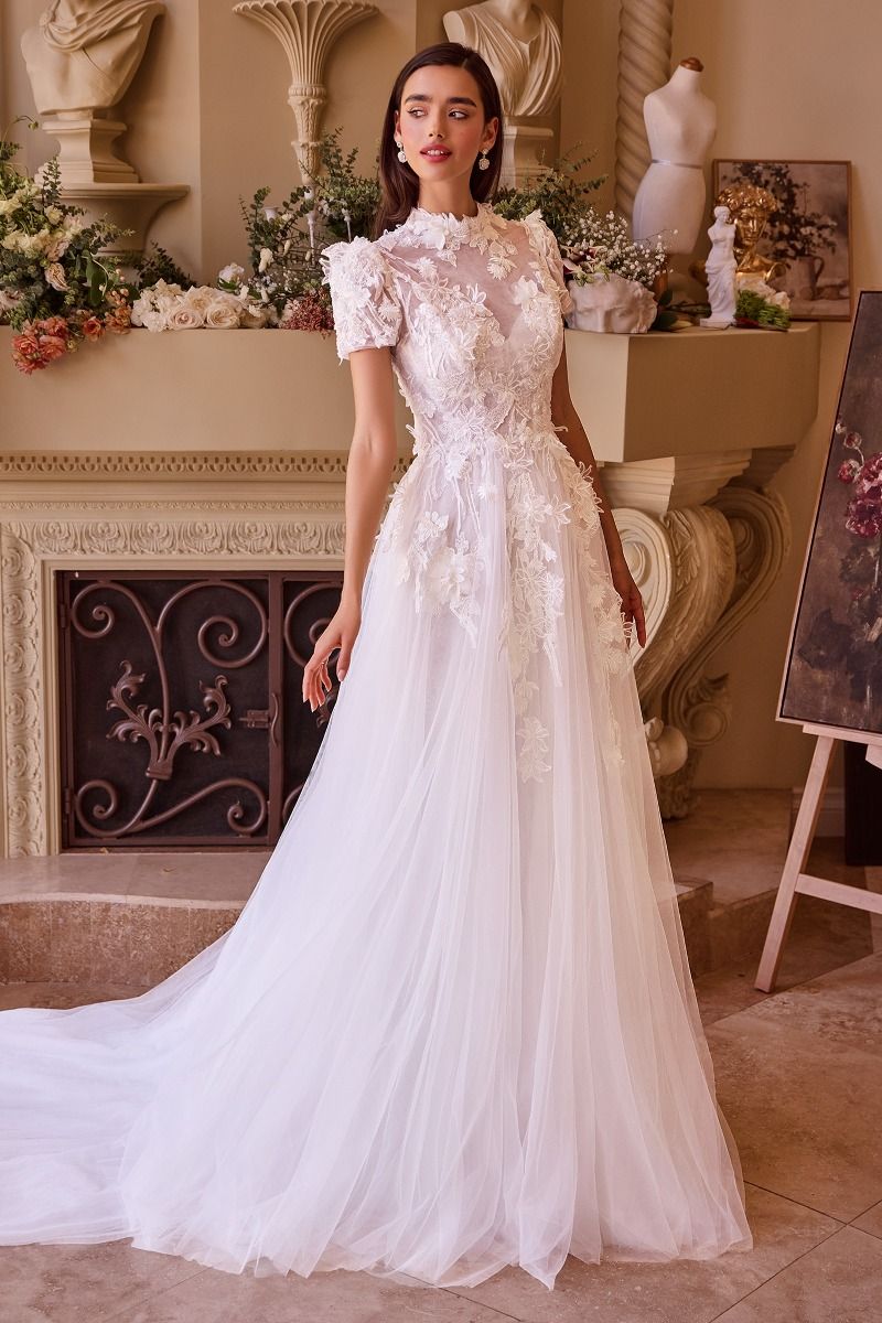 Wedding & Bridal Dresses
